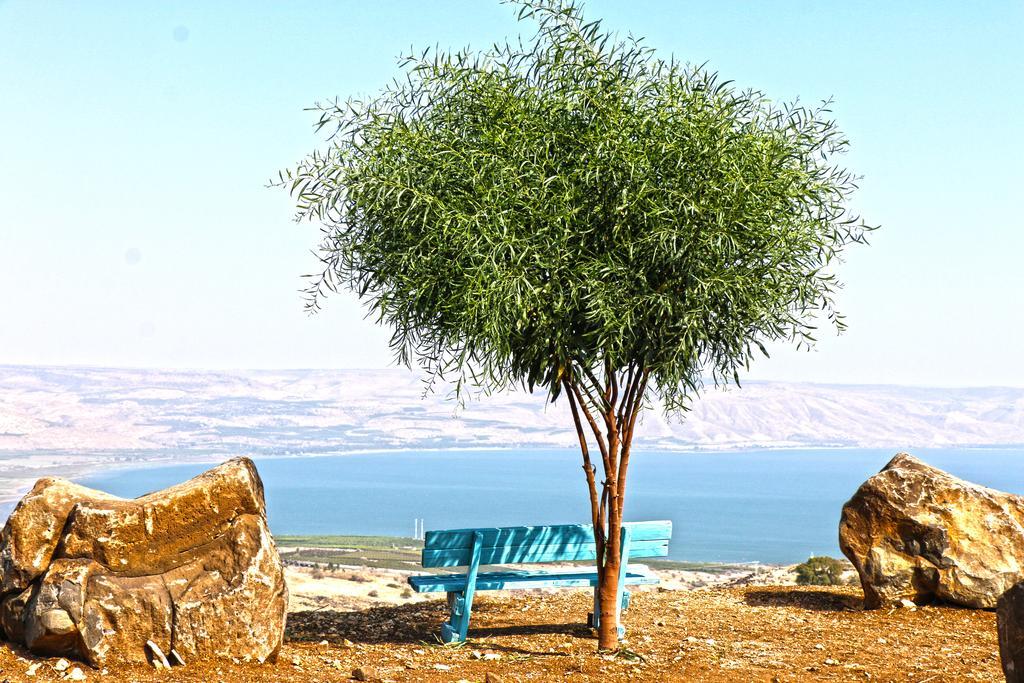 Sea Of Galilee Site Apartman Chorazim Kültér fotó